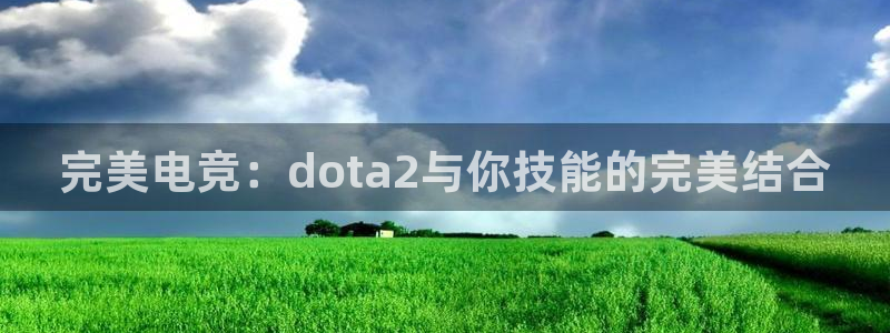 泛亚电竞英雄联盟竞猜：完美电竞：dota2与你技能的完美结合