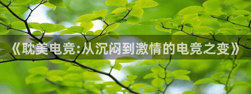 泛亚电竞平台app：《耽美电竞:从沉闷到激情的电竞之变》
