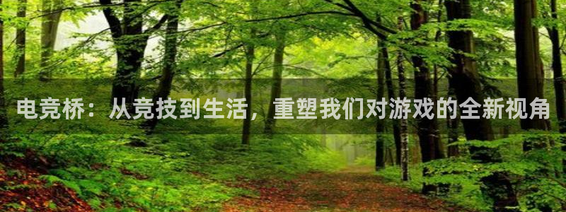 泛亚电竞是什么：电竞桥：从竞技到生活，重塑我们对游戏的全新视角