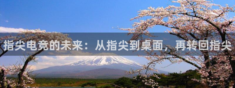 泛亚电竞最新版下载：指尖电竞的未来：从指尖到桌面，再转回指尖