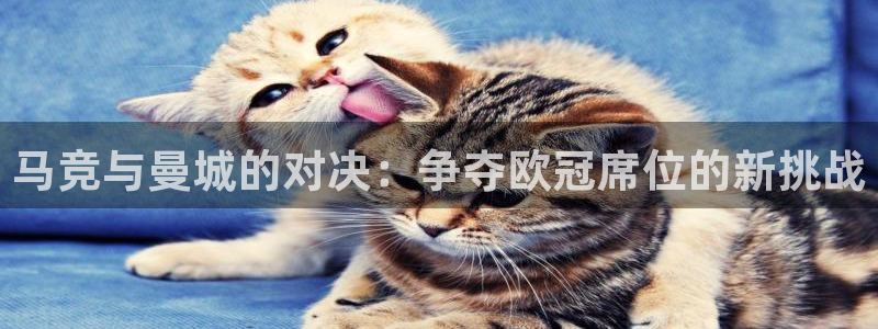 泛亚电竞是什么意思：马竞与曼城的对决：争夺欧冠席位的新挑战